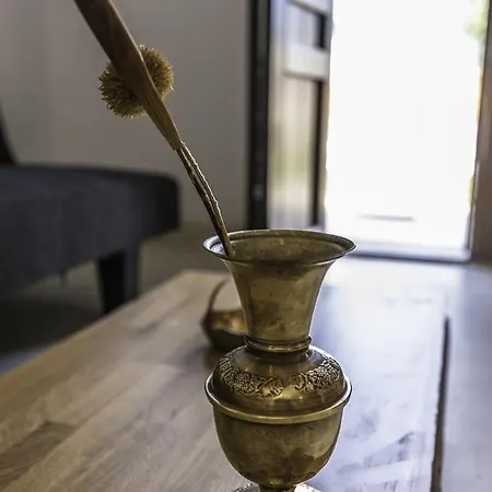 Anthelia Скала-Потамиас